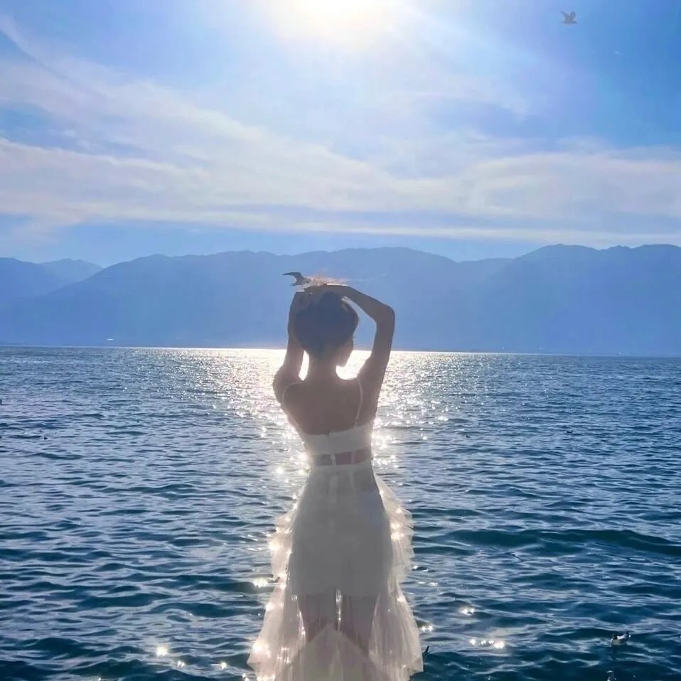 金谍行动海报