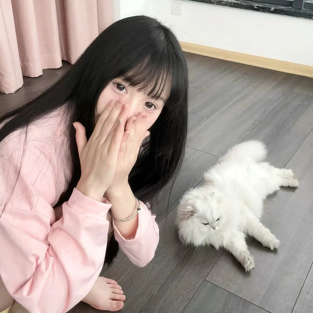 春中六日 海报