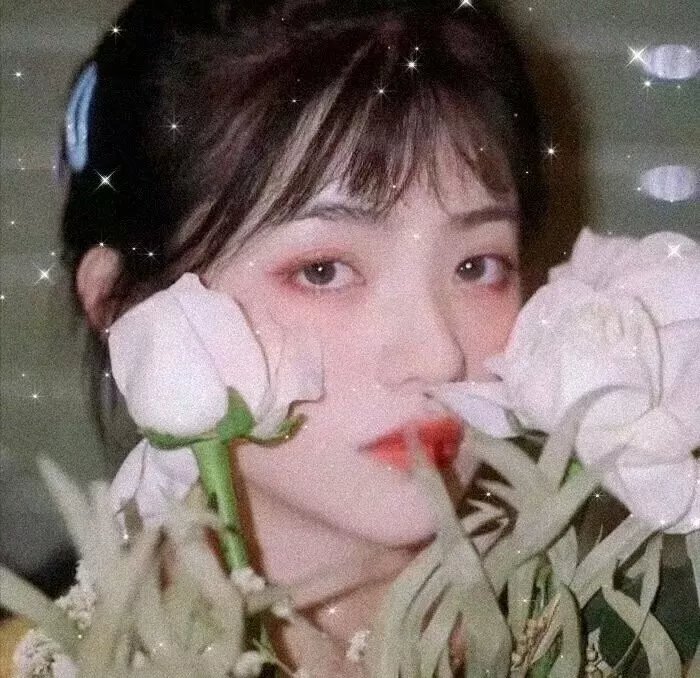 王宝强 照片